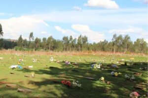 Memorial Parque de Anápolis - Cemitério