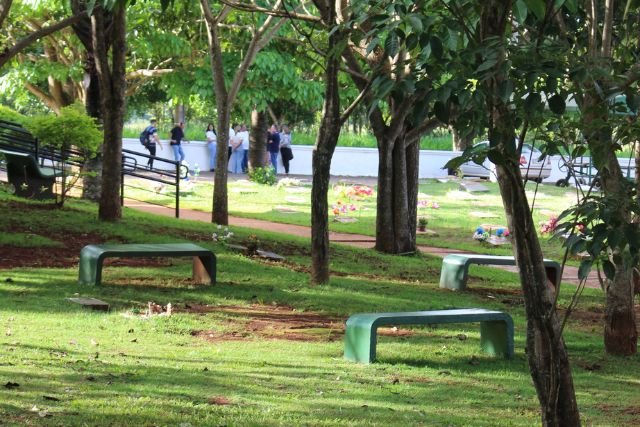 Memorial parque - área arborizada